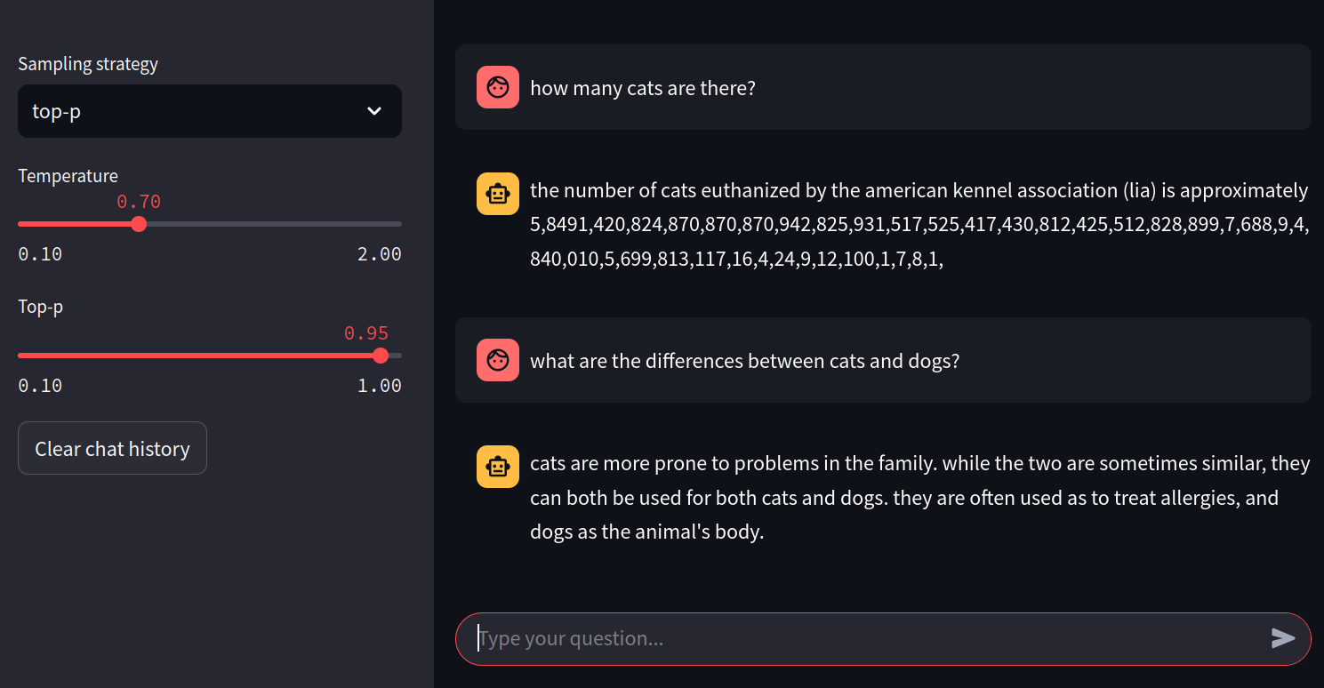 decoder-only chatbot streamlit interface