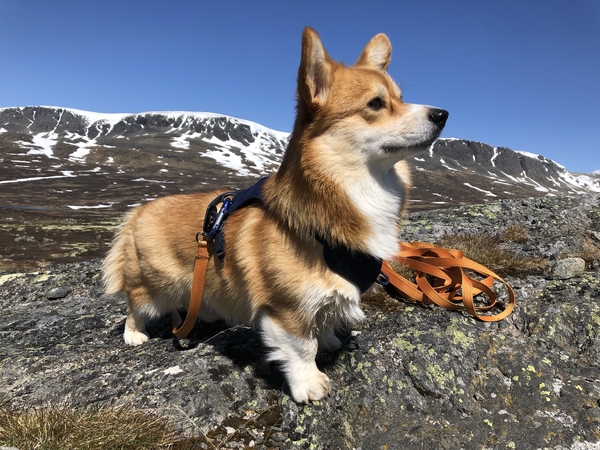 Vilma looking regal
